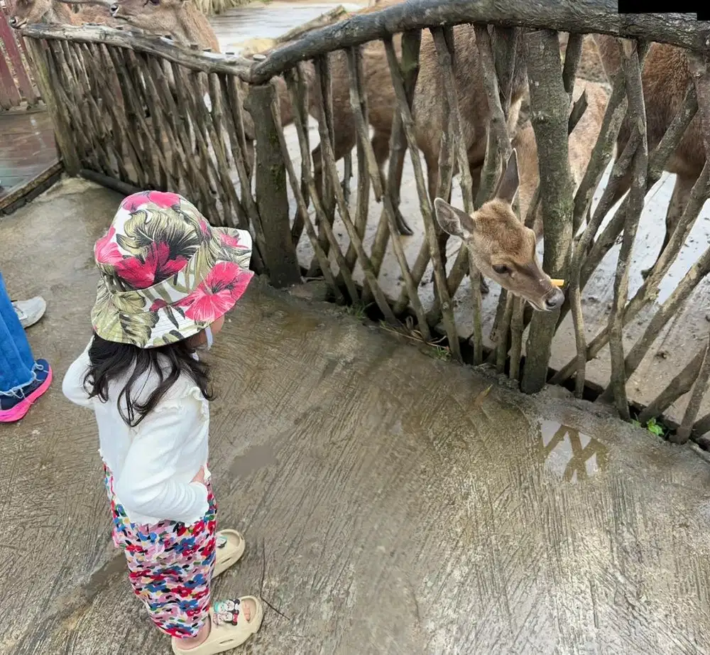 Dicari art yg bs momong bayi 3 bulan