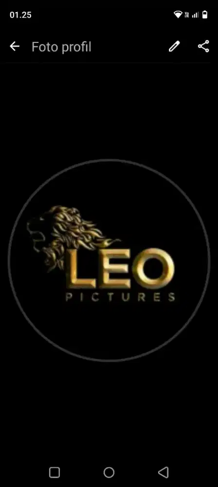 LEO MANAGEMENT LC