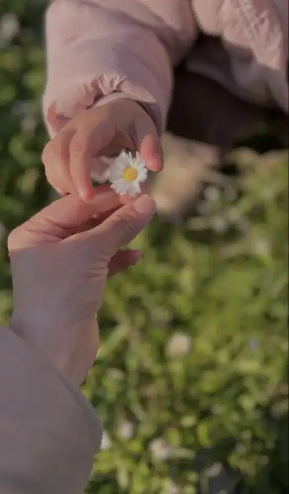 Ti.Mi