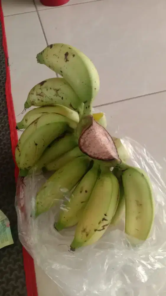 Dicari Helper masak