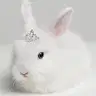 Velia