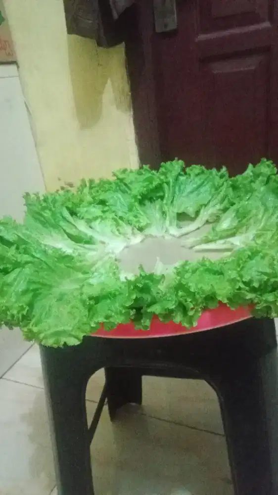 Cari kerjaan art yg bisa PP