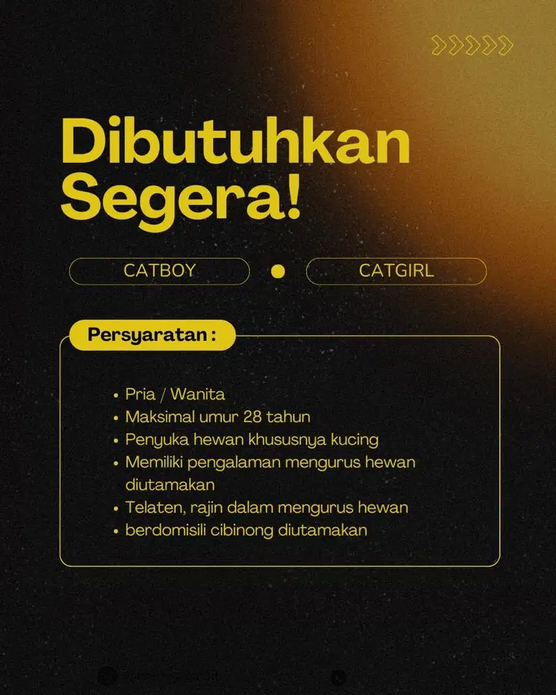Lowongan kerja catboy / catgirl