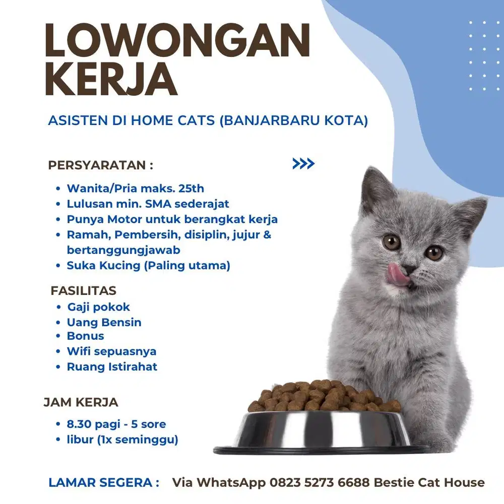 Lowongan kerja di home cats banjarbaru