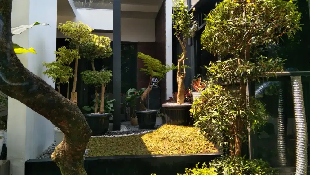 Pembuatan taman kering minimalis