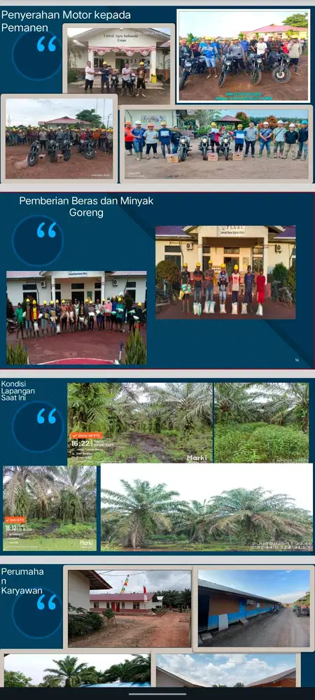 Lowongan kerja sawit