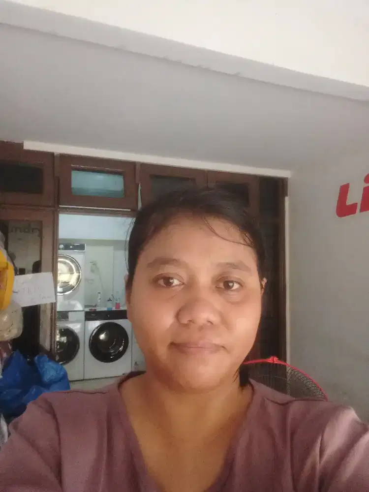 Freelance gosok laundry
