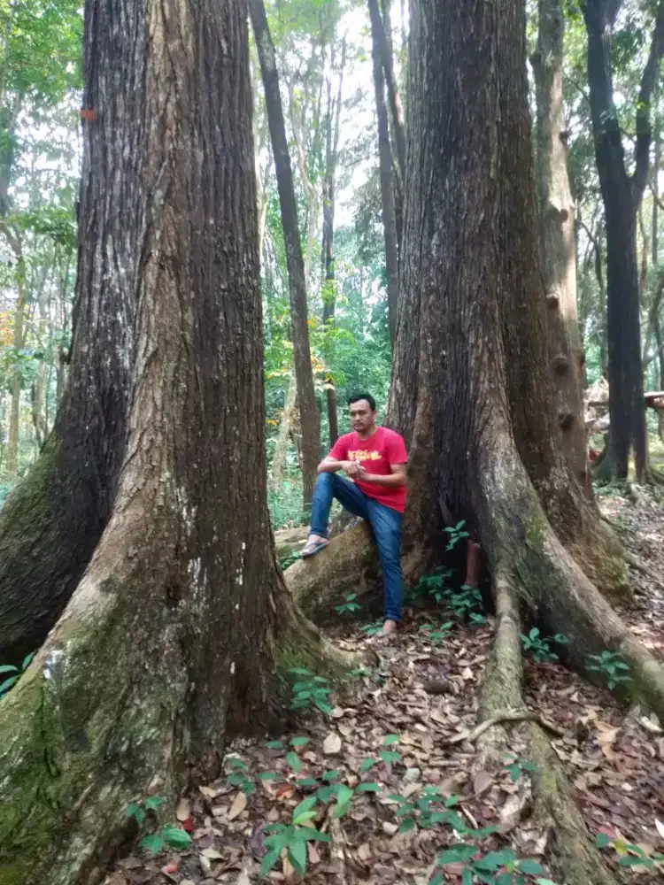 jejen mulyadi