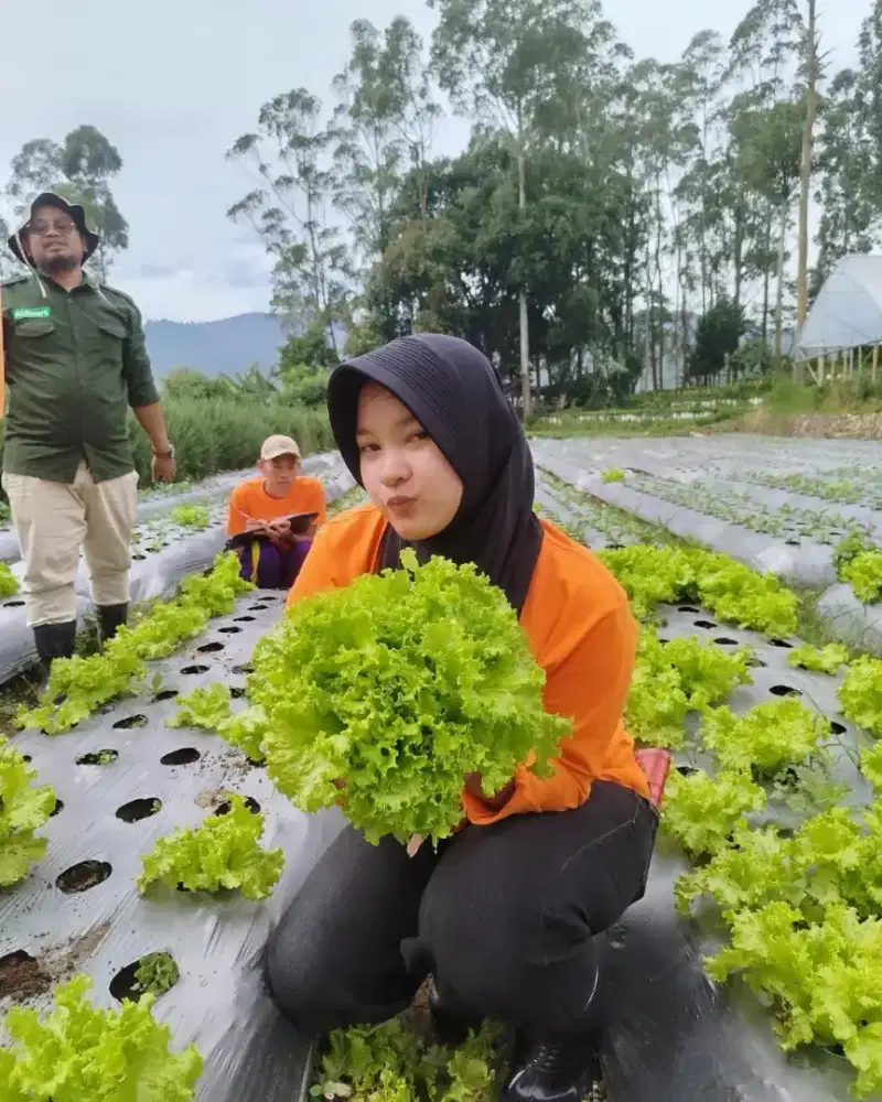 mencari kerja part time