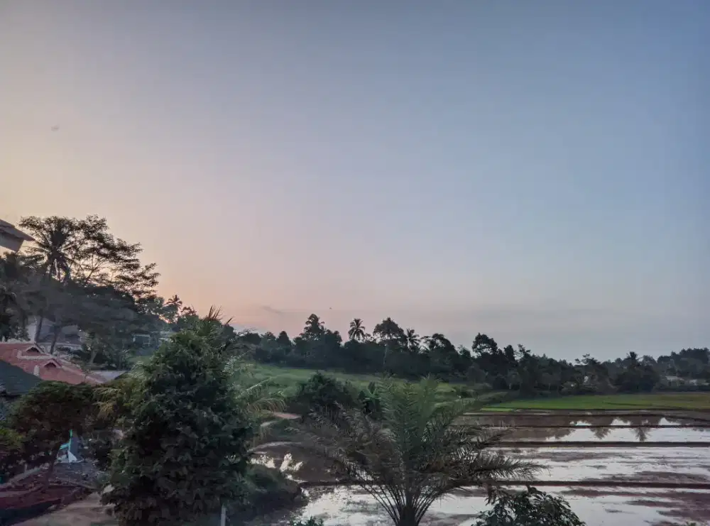 nyari lowongan kerja buat saya,siap bekerja