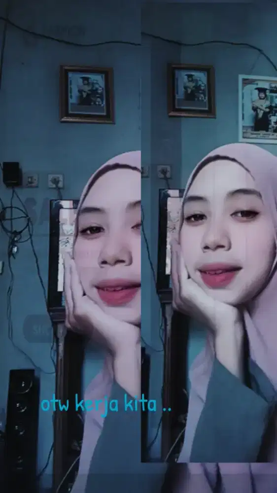 Herlin