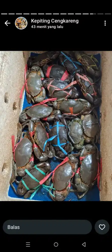 Warung seafood  teluk gong