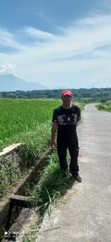 Mencari kerjaan sopir apa aja SIM A umum