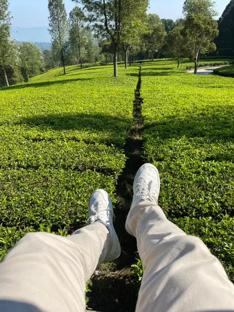 DI BUTUHKAN SEGERA KONTEN CREATOR SEPATU SNEAKERS