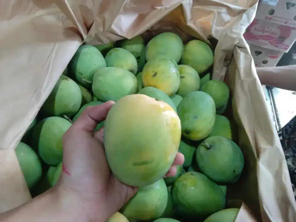 LOWONGAN PENSORTIR BUAH