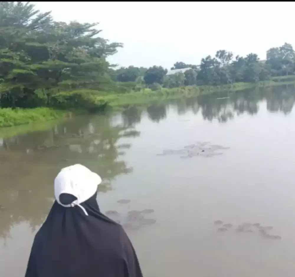 Cari pekerjaan yg tidak menginap yg PP