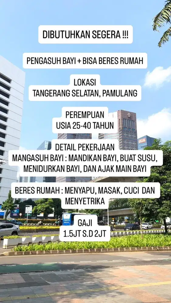 ART (PENGASUH BAYI + BERES RUMAH)