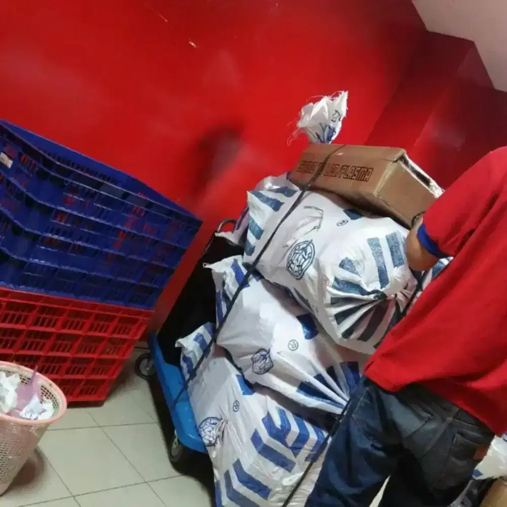 Pusing Nyari kerjaan