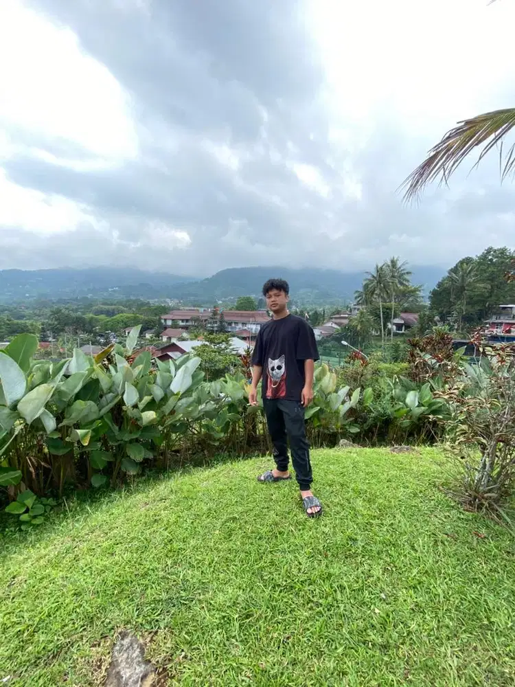 Supir pribadi/supir kantor an