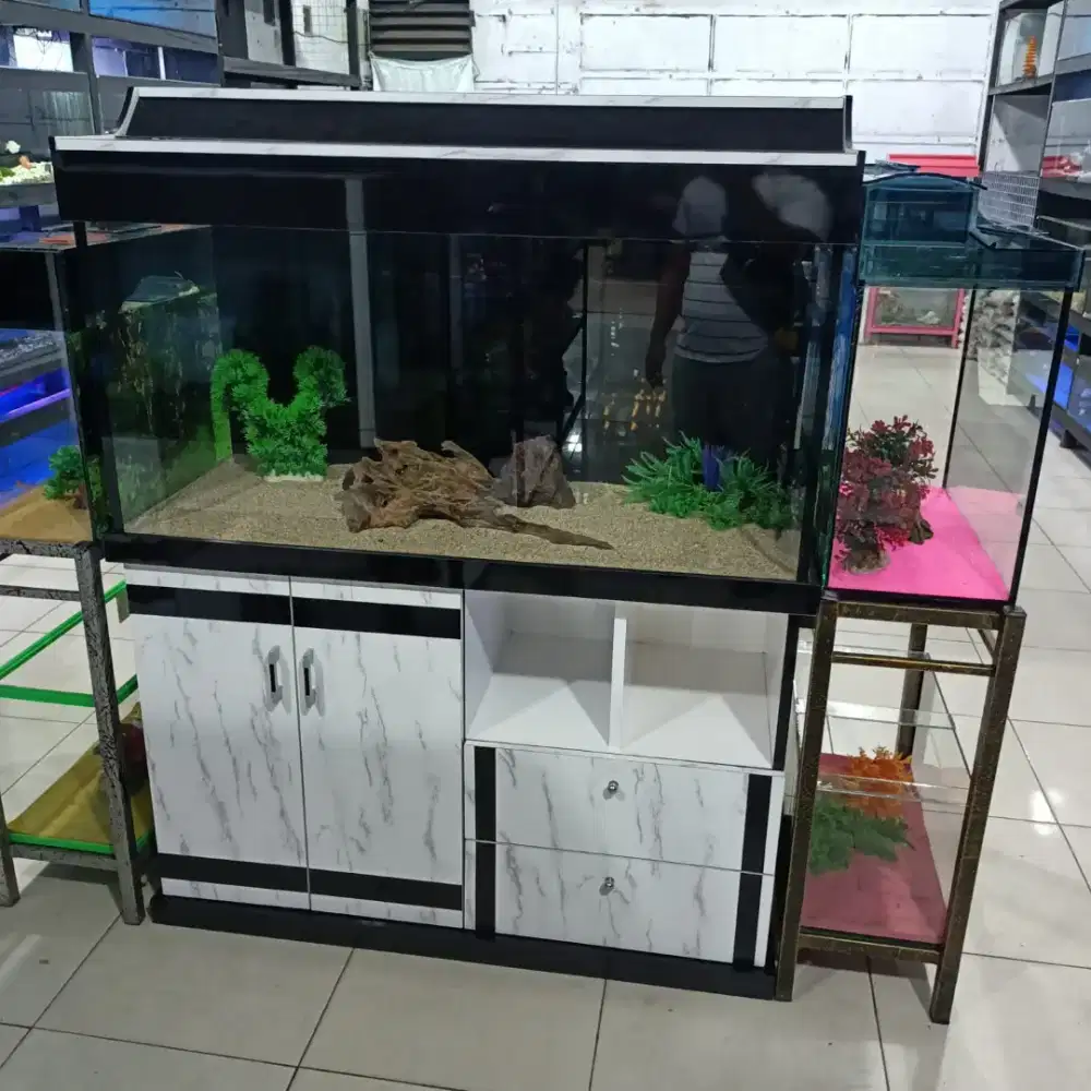 Lowongan jaga toko ikan hias
