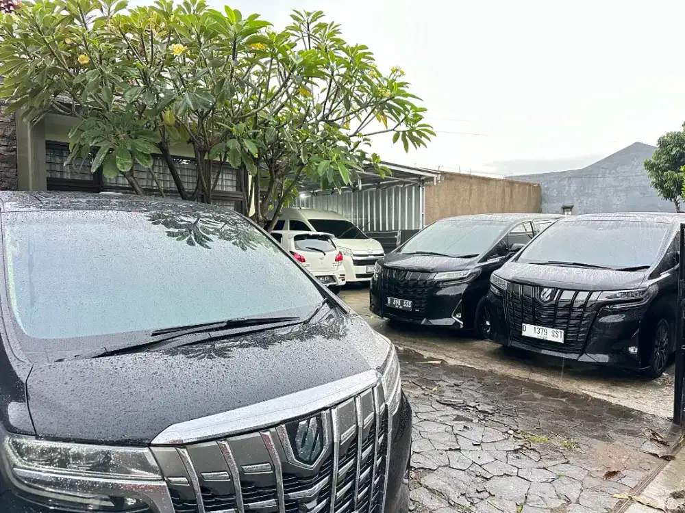 Dibutuhkan Tim Cuci Mobil