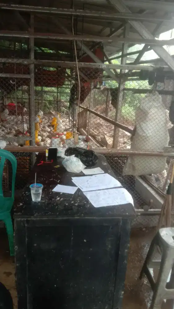Dibutuhkan Kasir ditempat Pemotongan Ayam