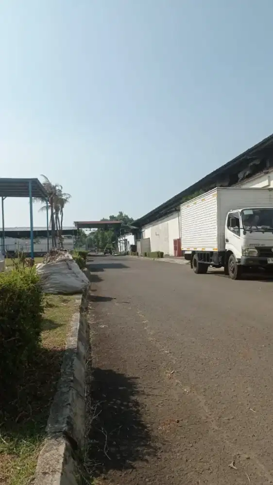 Kuli serabutan butuh cepat