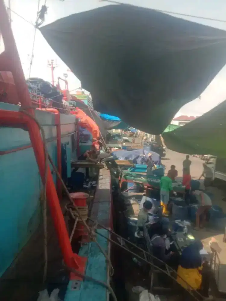 Butuh yang serius kerja buat abk kapal cumi yang siap kerja buat 2 abk