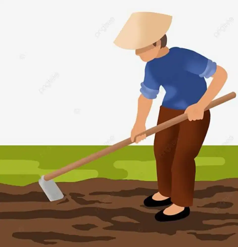 Farmer game online