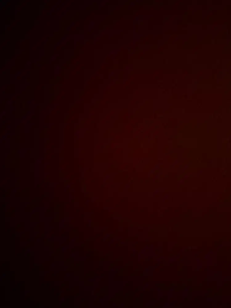 Content creator ( personal ) / PA