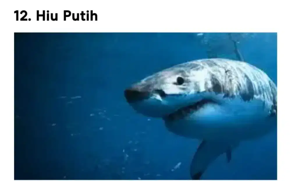 Dicari sopir pribadi