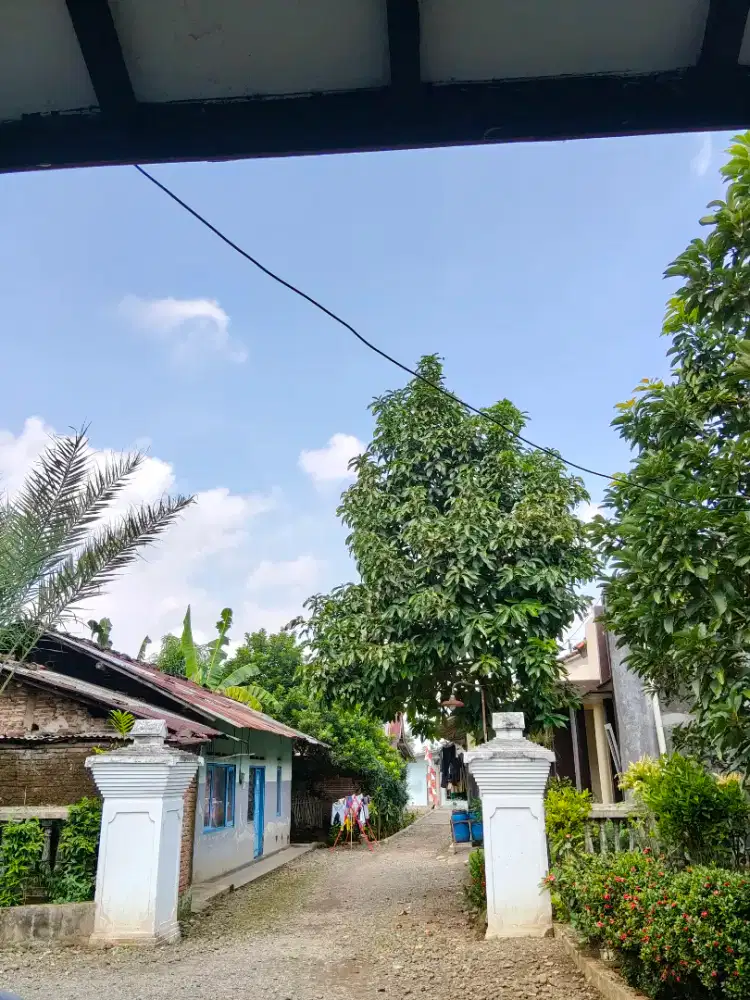 Riyanti