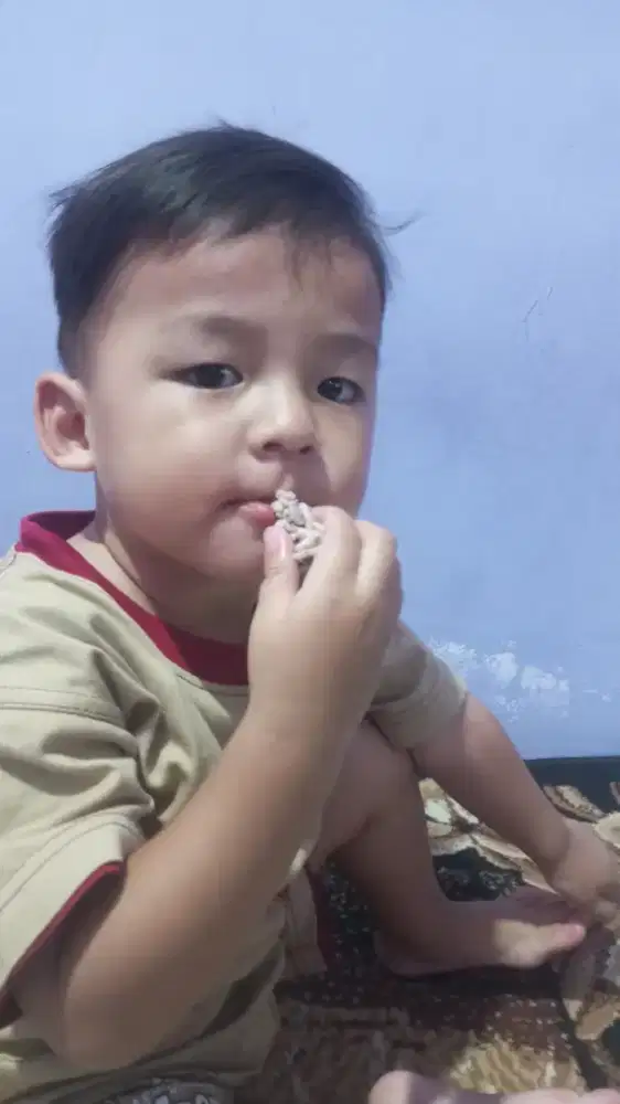Butuh pengasuh anak umur 2 tahun