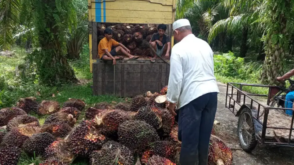 Asap ! Lowongan kerja terbaru butuh cepat
