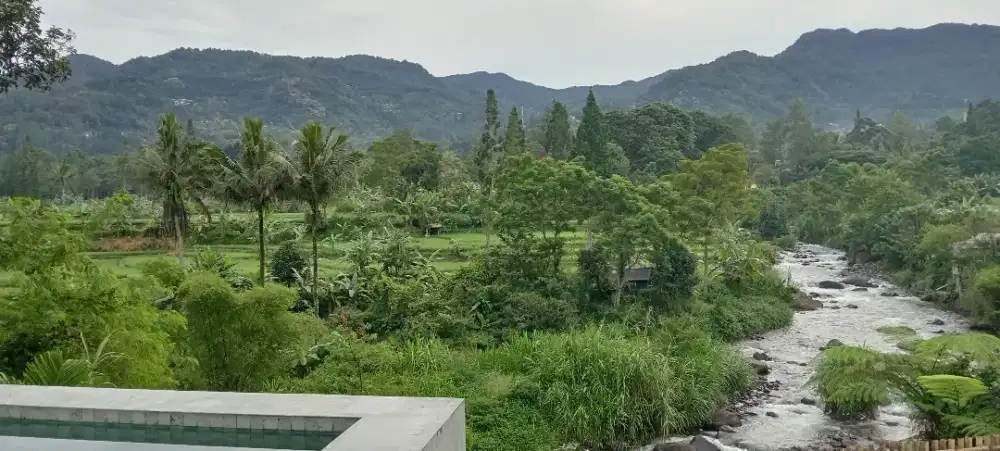 MENCARI PEKERJAAN FREELANCE