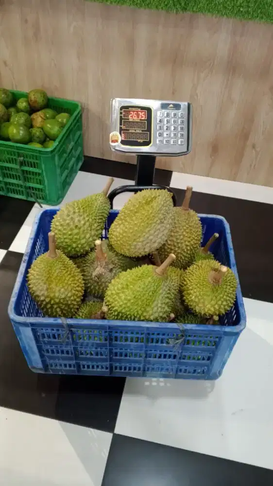 Penjual durian premium