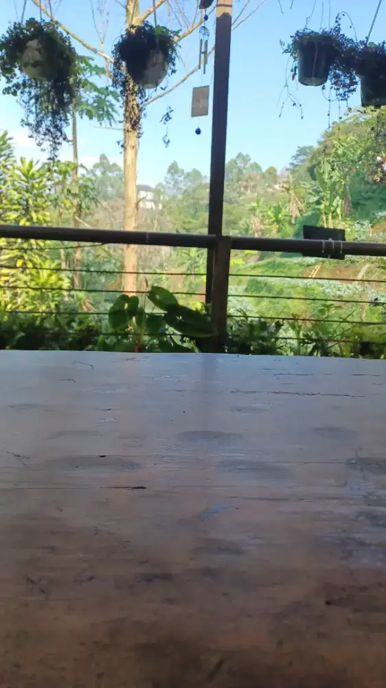 Cook helper waiters