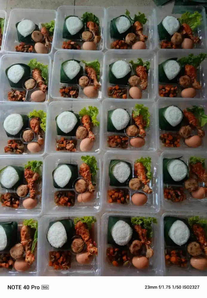 Trima pesanan nasi kotak dan nasi bungkus
