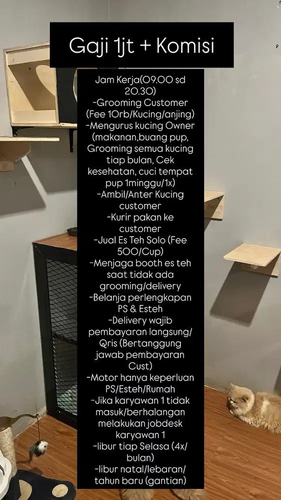 Penjaga Toko Petshop Grooming (Pria)
