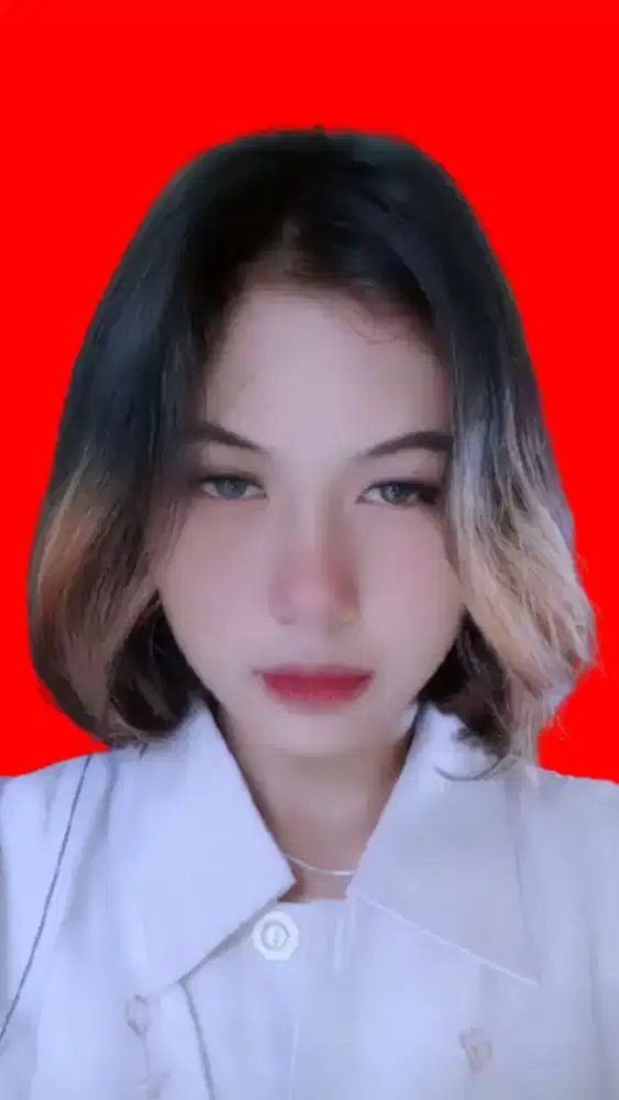 Mencari Pekerjaan WFH
