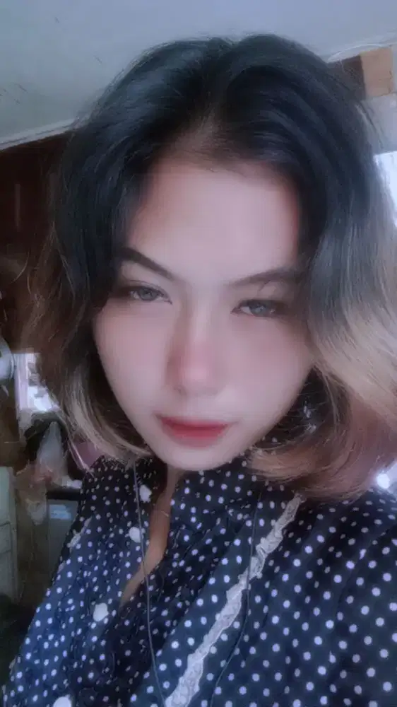 Dini Ristiana P