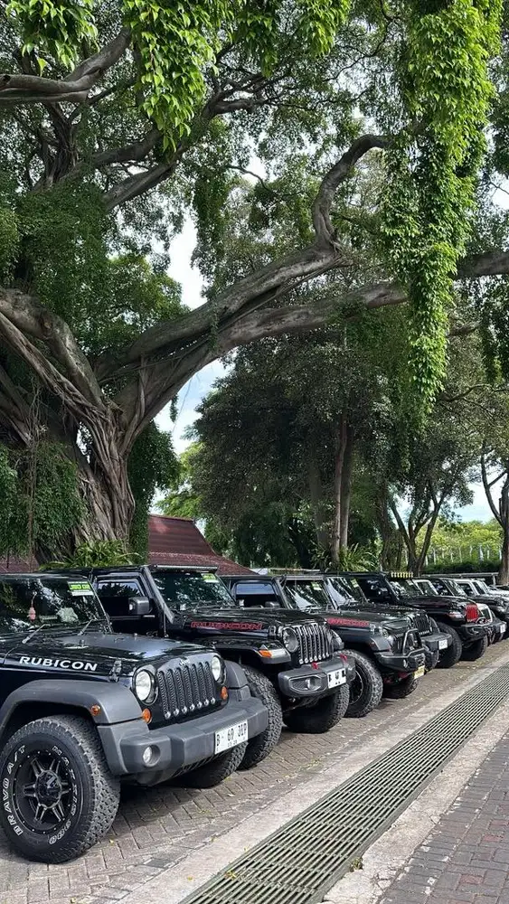 Cari supir pribadi