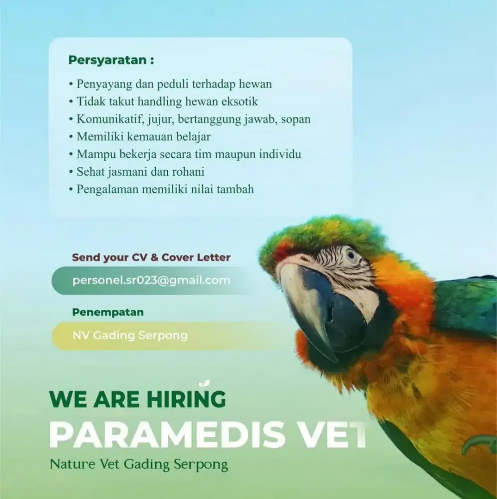 Lowongan Kerja Paramedis Hewan