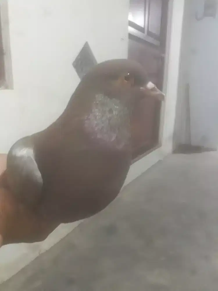 Mencari pekerjaan
