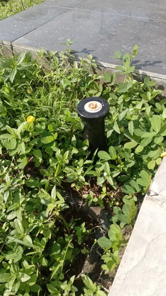 Pasang pompa air.servise.penyiram taman sprinkel.cuci toren