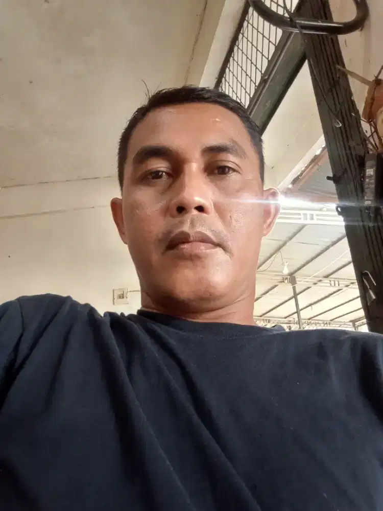 Jasa supir dalam dan luar kota