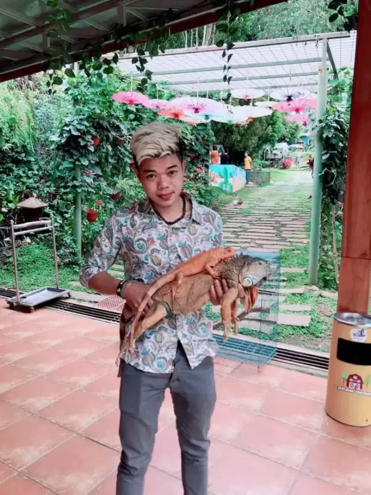 Cecep