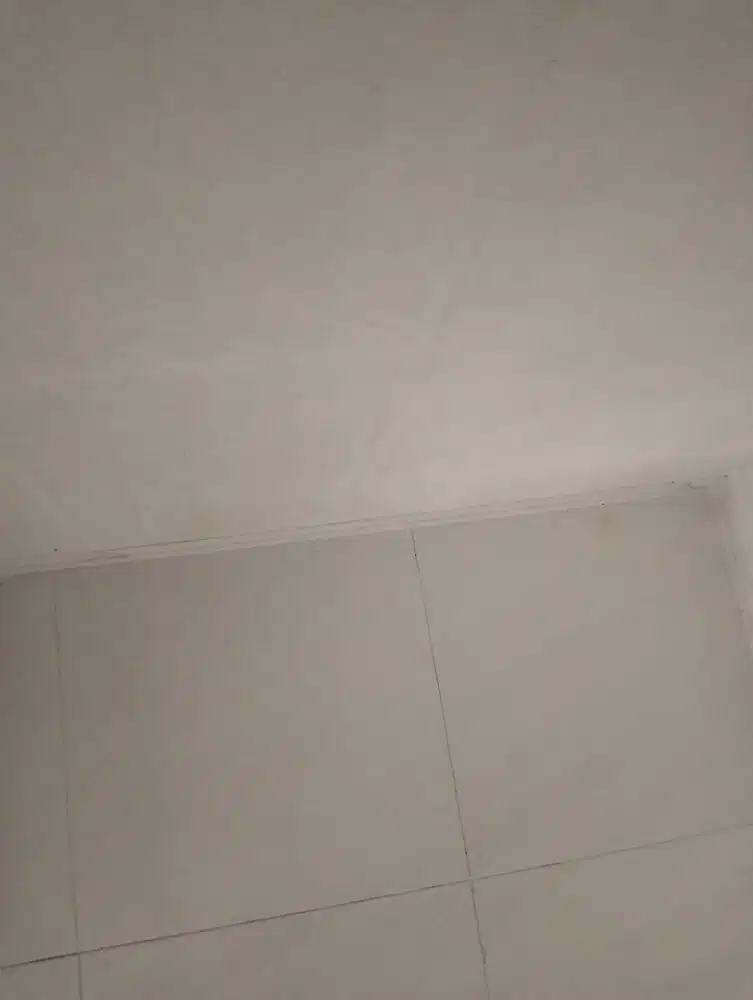 Dicari Pengasuh Bayi + ART