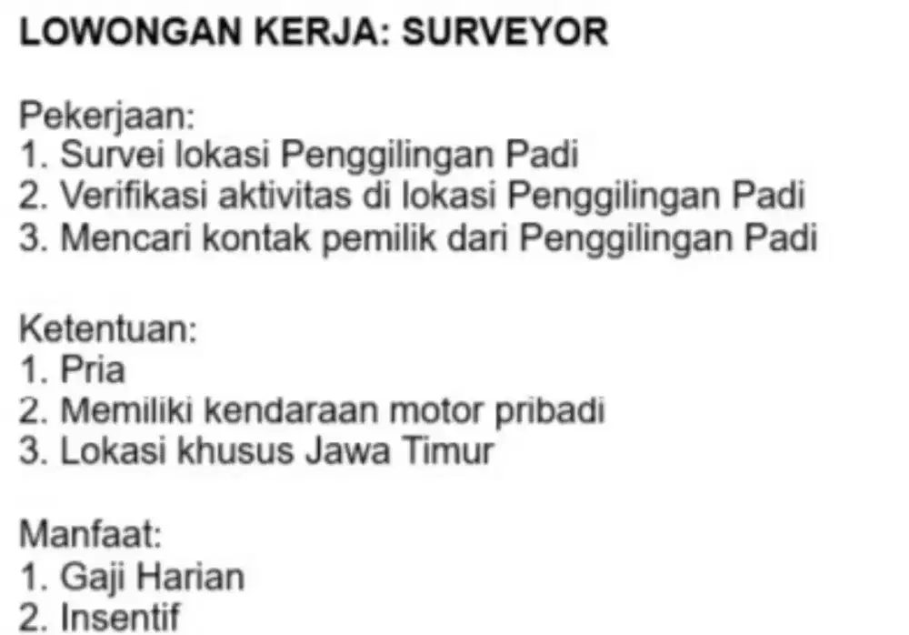 Lowongan Surveyor