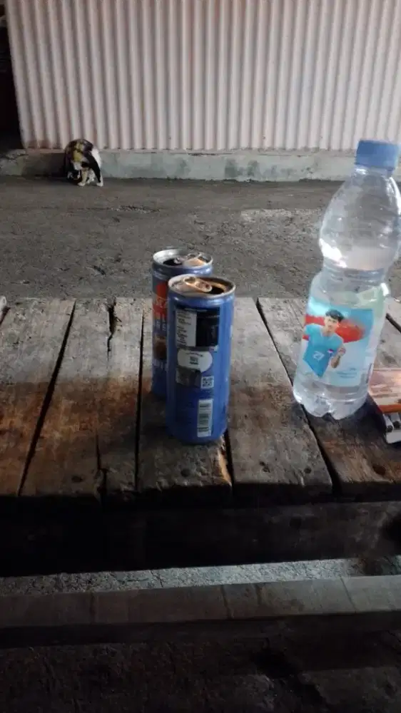 info lowongan pekerjaan